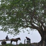Navigating the World Mindfully: Embracing Ethical Travel & Local Immersion