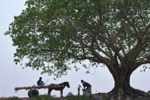 Navigating the World Mindfully: Embracing Ethical Travel & Local Immersion