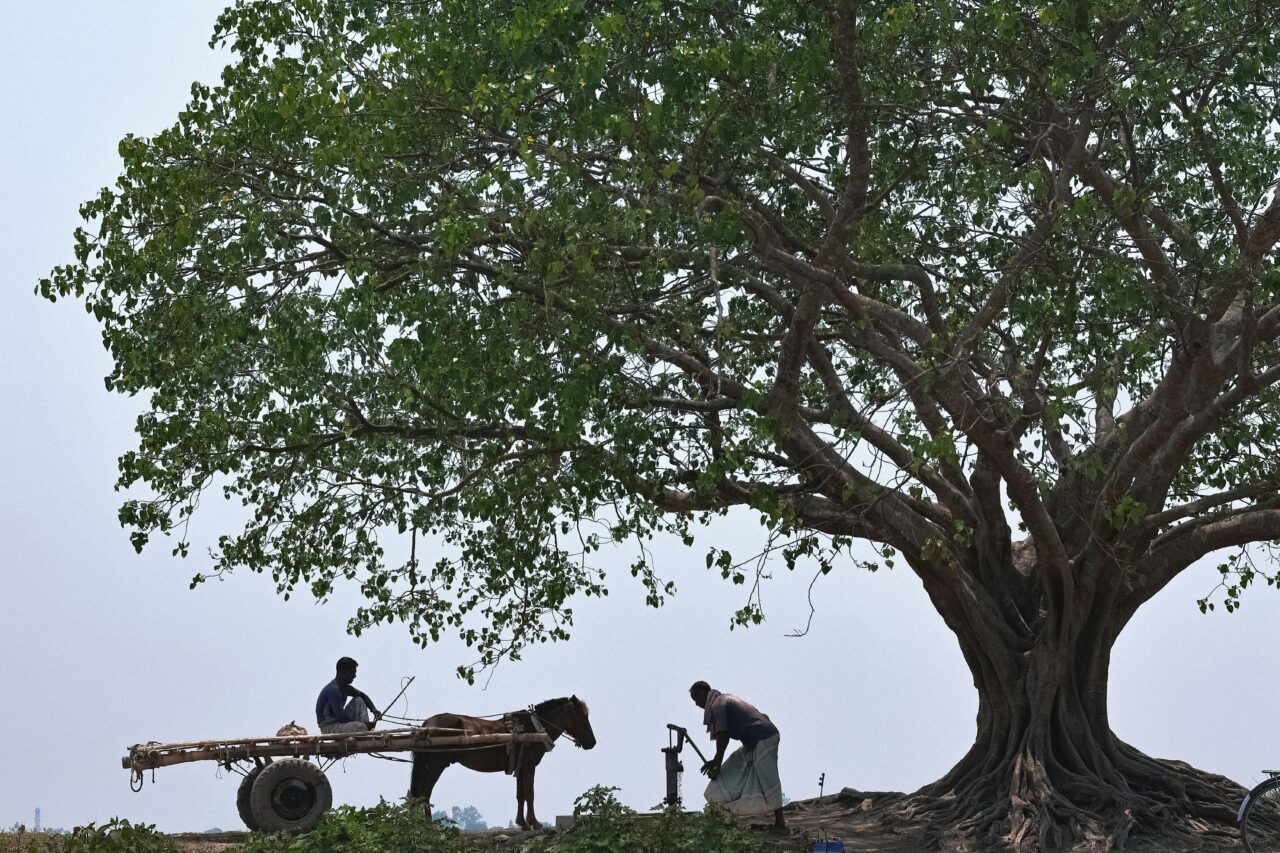 Navigating the World Mindfully: Embracing Ethical Travel & Local Immersion